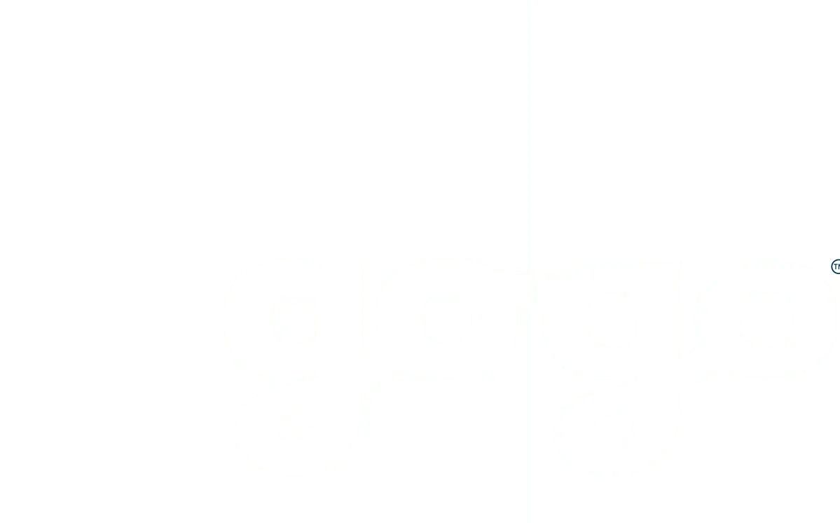 GoGo Business Aviation