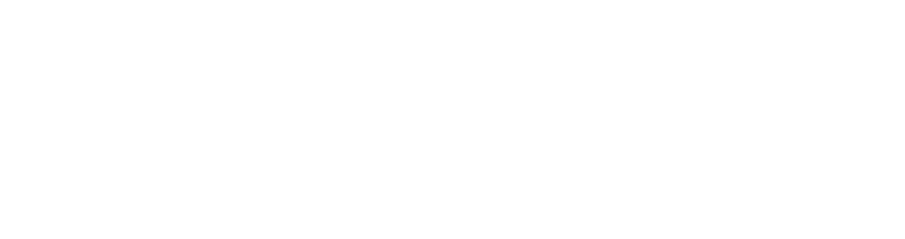 Falcon Dassault Jet